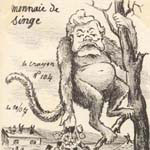 Monnaie de singe - Agrandir l'image